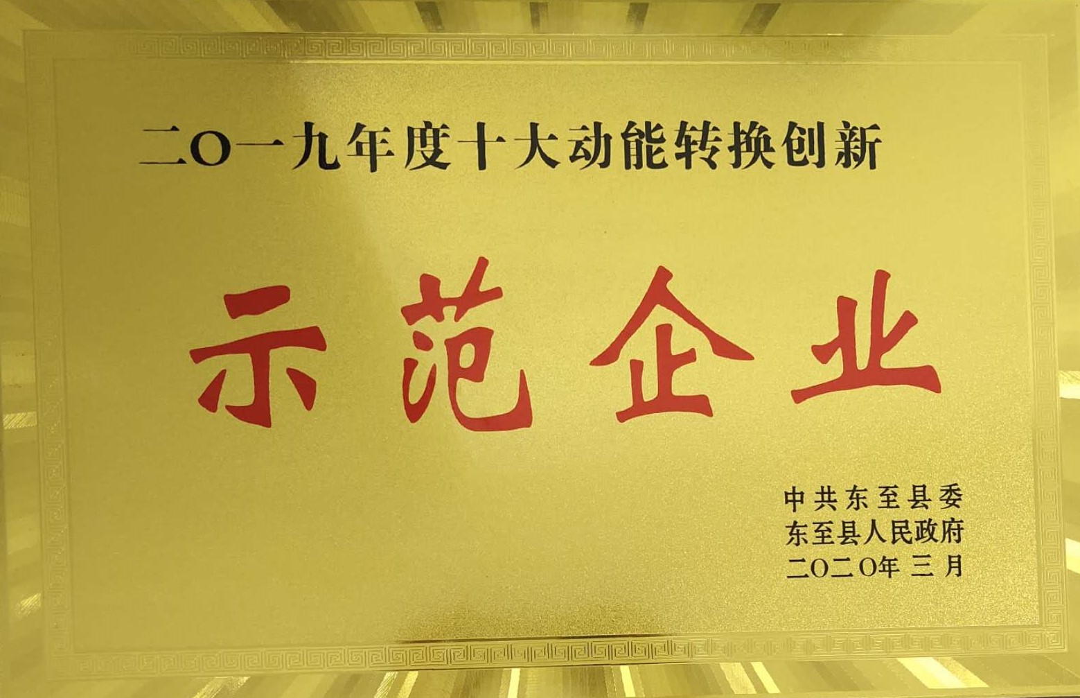 祝賀嘉智信諾榮獲東至縣“二〇一九年度十大動(dòng)能轉(zhuǎn)換創(chuàng)新示范企業(yè)”